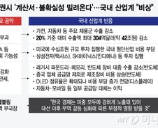 트럼프 당선에 '보조금' 없던 일로?…美 공장 짓는 반도체 '초비상'