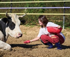 옥스포드 출신이 소 키운다…유학파 빨아들인 시골마을의 매력은?