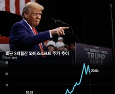 "발음이 '트럼프'랑 비슷" 이 이유로 테마주 묶였다…중국 주식 결말은