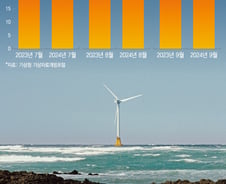 레드향 썩고 뿔소라 삐쩍…11월 반팔 입는 제주 '기후변화 폭탄' [르포]