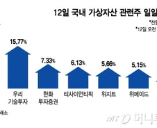 9만달러 넘보는 비트코인…덩달아 상한가 찍은 '이 종목'