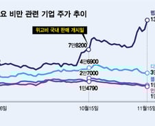 '기적의 비만약' 상륙에 주가 살 찌우더니…이 종목들, 지금은?