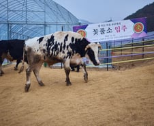 비출생 사회와 성공의 기준[우보세]