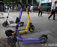 한동훈도 당했다...한 해 24명 목숨 앗아간 길 위의 무법자 '킥라니'