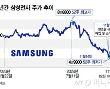 10조 써도 지지부진, 답답한 삼전 개미들…"과거와 상황 달라" 왜?