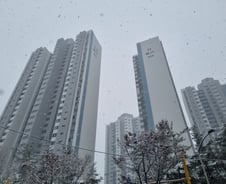 신고가 찍더니 "재건축 탈락"…분당 시범 1구역 '당황'[르포]