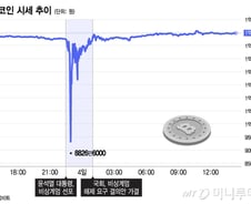 '비상계엄 쇼크'에 들썩인 코인 시장, 전문가 "장기 영향력 제한"