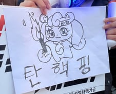 '탄핵 정국'에 개미도 국장 떠난다…줍줍 기회? '기대말라' 의견도
