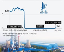 99% '뚝' 거래 막힌 이 주식, 이번엔 1212% 폭등…中 기업에 무슨 일이