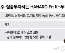 내년 내수 좋아진다는데…'이 ETF' 선점해볼까?