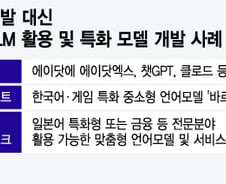 '고래싸움' LLM보다 '돌고래' 콘셉트로 싸워야 AI대전 승산