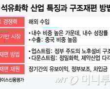 석유화학 생존위한 '빅 딜'?…"정부 적극적 대응 절실"