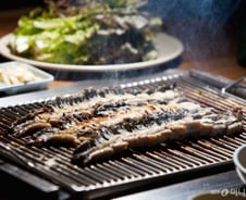 계엄선포 후 반입된 '장어 56㎏'…"최대 160인분"