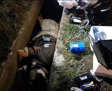 하의 벗겨진 채 발견된 여교사 시신…9년만 잡힌 용의자는 '무죄'[뉴스속오늘]