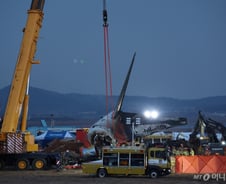 '항공기 추락' 사망자 177명…무안공항 찾은 제주항공 대표 "책임 통감"