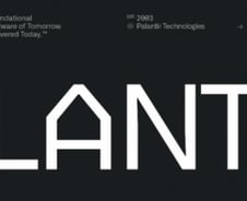 12월 서학개미 순매수 2위 팔란티어… 367% 폭등한 주가 향방은?