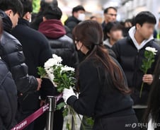 "자식이 죄인인데 벌은 부모가" 제주항공 참사에 의사들이 단 충격 댓글