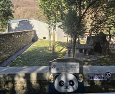 [단독]몸 떨던 푸바오 어디에?…방사장에 다른 판다→또 건강이상설