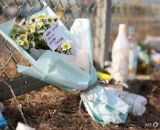 [단독]무안 제주항공 단체관광객 40여명, 라이나손보 여행자보험 가입