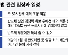 반도체특별법,  골든타임 지나간다