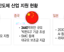 "반도체는 경제·안보 직결"…치열한 글로벌 지원 경쟁, 한국은 답보