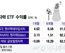 1년 묵히면 59% 뛰던데…"게다가 트럼프 수혜주" 이 ETF는 뭐?