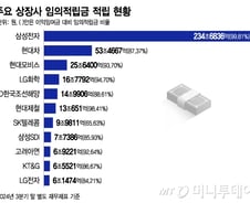 번 돈의 80% 곳간에 쌓아두고 배당은 찔끔?