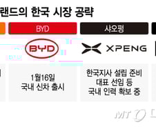 "中전기차 '메기' 될까" 하나둘씩 한국 상륙…샤오미도 가세