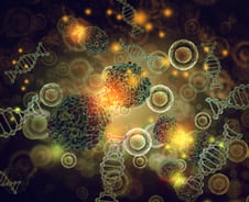 '늙은 면역체계'가 노화 촉진…"소화불량·변비, 나이 때문만 아냐"