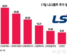 LS네트웍스 '상한가'…머스크 AI개발사 수주에 그룹주 '들썩'