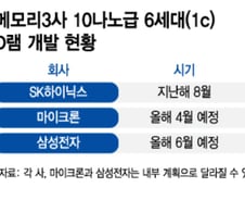 [단독]삼성전자, 10나노급 6세대 D램 개발 목표 6개월 미뤘다
