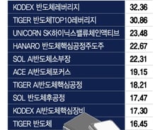 새해 ETF 수익률 우등생은 K 반도체…올해는 달릴까?