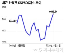 美 역사상 주식 가장 비쌀 때 취임한 트럼프…관세가 핵심 변수[오미주]