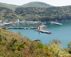 경제성 떨어져도 공항 짓는다? 절차 무시하는 '특별법'도 논란