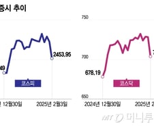 관세 전쟁 서막에 외국인·기관 또 던졌다...코스피 2.5% 급락