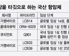 파죽지세 '엔허투'…내성 시장 겨냥하며 뒤쫓는 K바이오