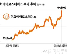 "주가 20% 올랐다" 시장 깜짝…실적 대박 난 한화에어로스페이스