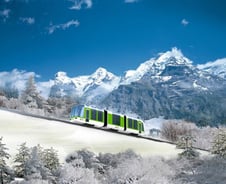 [단독]반달곰 서식지에 철도를? 환경부, 지리산 전기열차 사업 제동