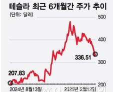 테슬라 주가 하락 6가지 이유…저가 매수세 유입되나[오미주]