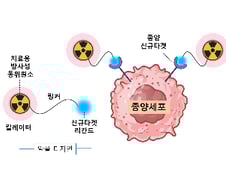 서울대병원, 삼중음성유방암·췌장암 잡는 '신무기' 개발 나선다