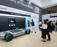 [우보세] '호랑이 굴' LFP 시장을 공략해야 하는 이유