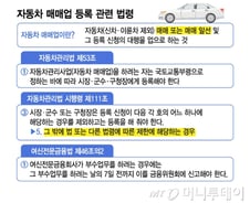 [단독]캐피탈사 '중고차 매매업' 가능할까… 부수업무 허용 검토