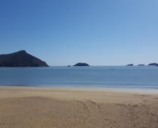 전남 해수욕장 변사체 전말…도박 빚 쫓기다 물거품 된 '코리안 드림'[뉴스속오늘]