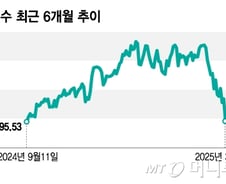 경기 침체 바라는 트럼프의 속내?…구원자 없는 증시, 추가 하락 대비해야[오미주]