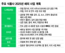 'K뷰티체인'이 잇는 불닭·초코파이 신화[광화문]