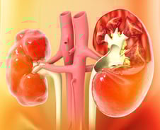 "자다가 화장실 들락날락" 야간뇨 반복, 왜?…'이 병'이었다