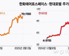 "116% 뛰더니 또 축포 쏴" 쭉쭉 오르는 '이 업종'…황제주 탄생할까