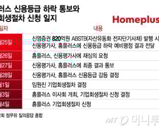 홈플러스 이사회 의결 전 기업회생 실무 논의...사기행위 점검(종합)