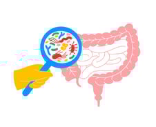 "화장실 잘 가야지" 아이에 꼭 챙겨먹였는데…유산균의 두 얼굴