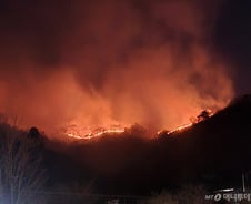 대형 산불에 고속도로도 위험…안동분기점 차단, 부산울산고속도로 통제
